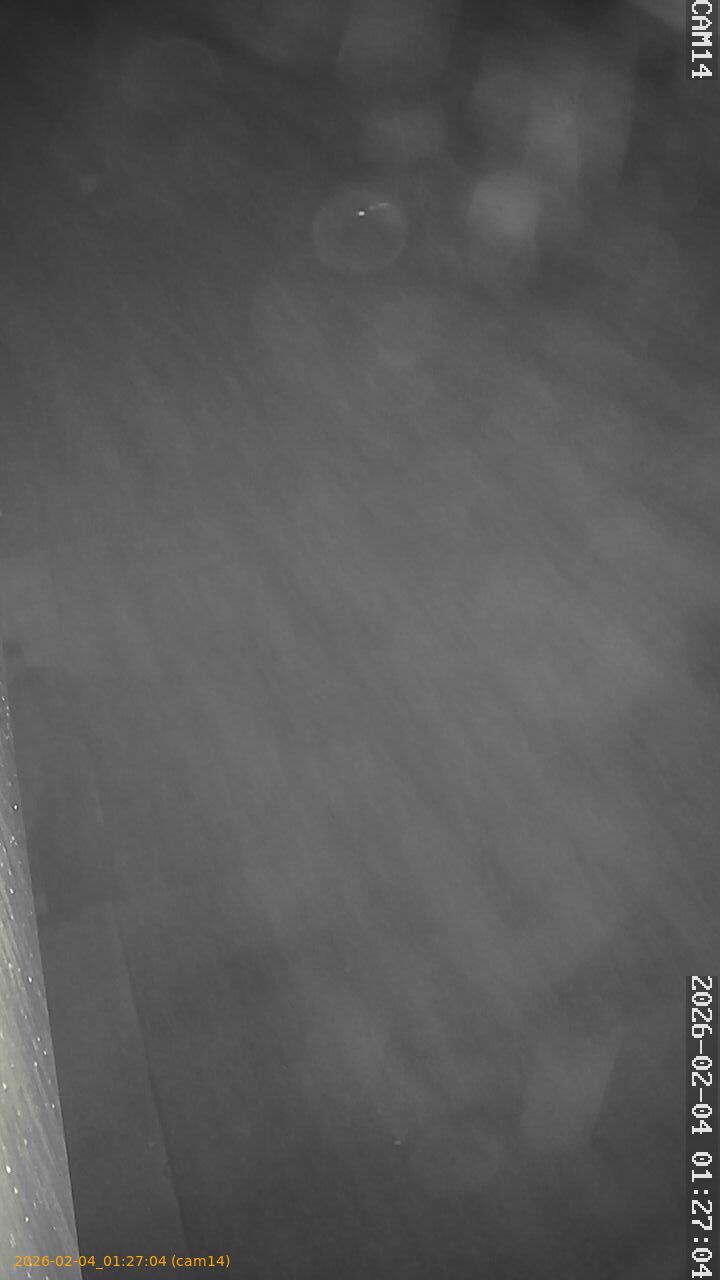 thumbnail_20260204012704