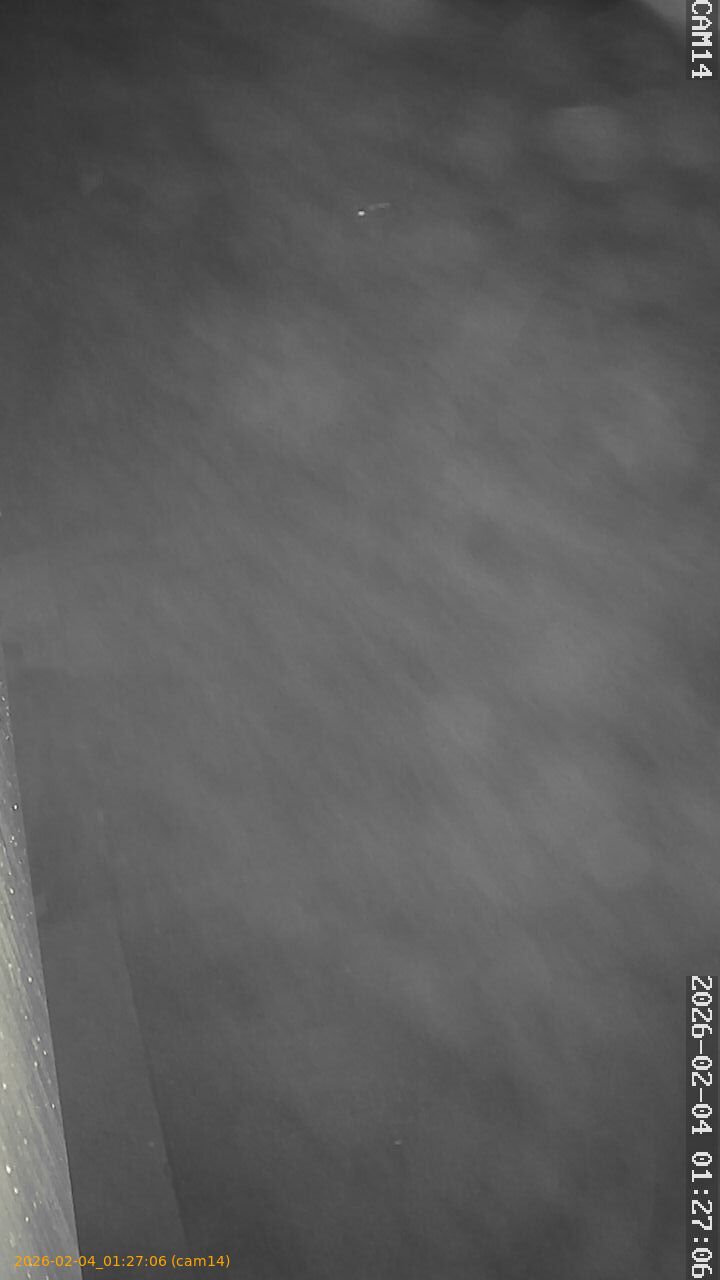 thumbnail_20260204012706