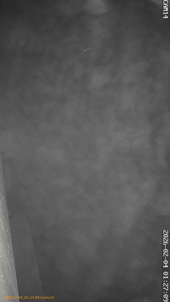 thumbnail_20260204012709