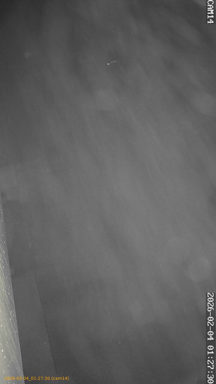 thumbnail_20260204012730