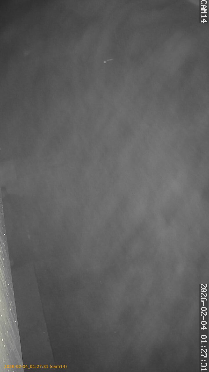 thumbnail_20260204012731