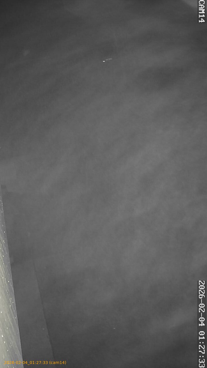 thumbnail_20260204012733