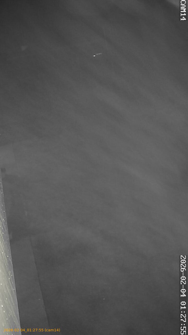 thumbnail_20260204012755