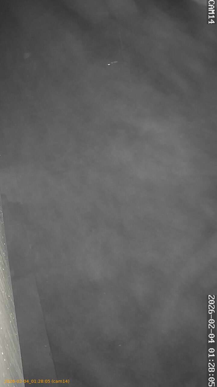 thumbnail_20260204012805