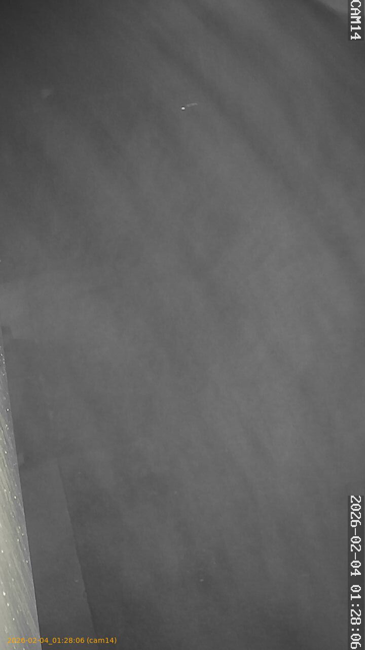 thumbnail_20260204012806