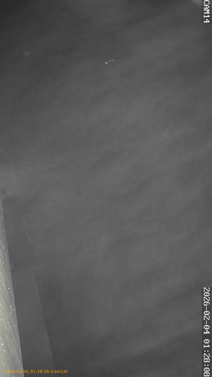 thumbnail_20260204012808