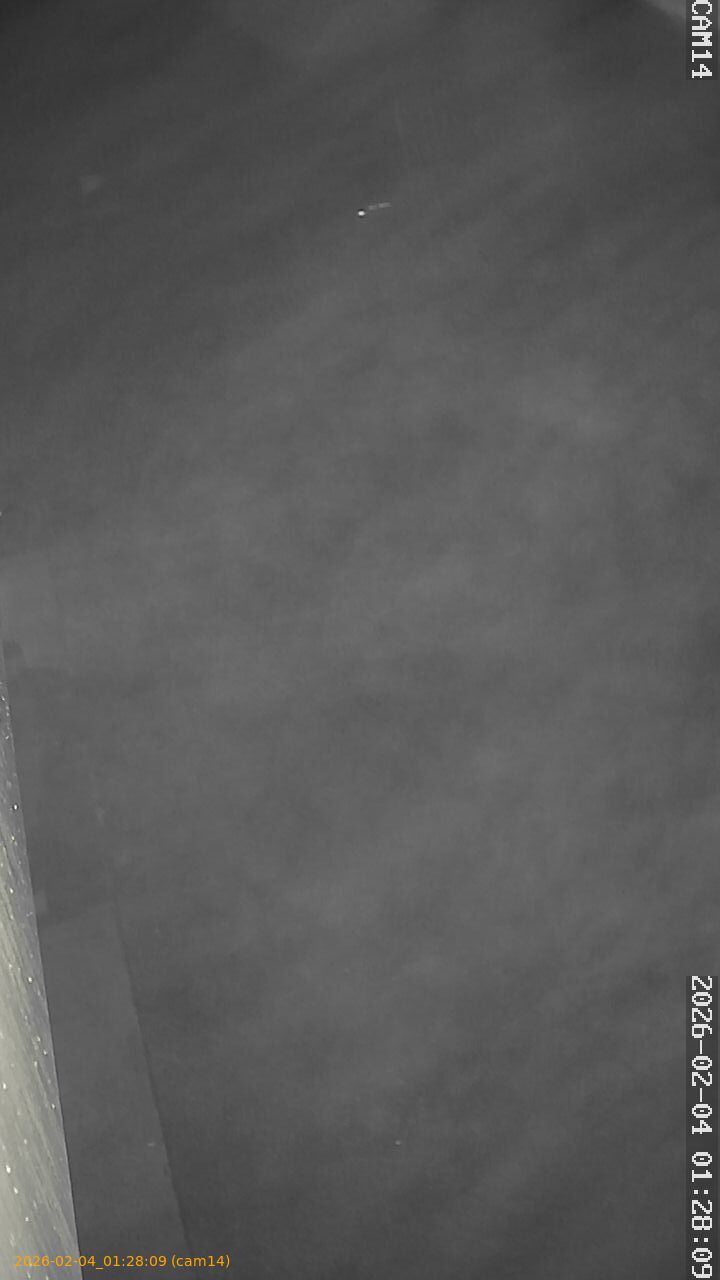 thumbnail_20260204012809