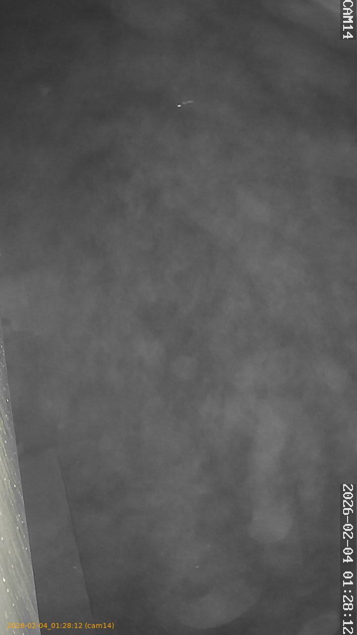 thumbnail_20260204012812