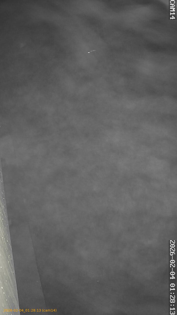 thumbnail_20260204012813