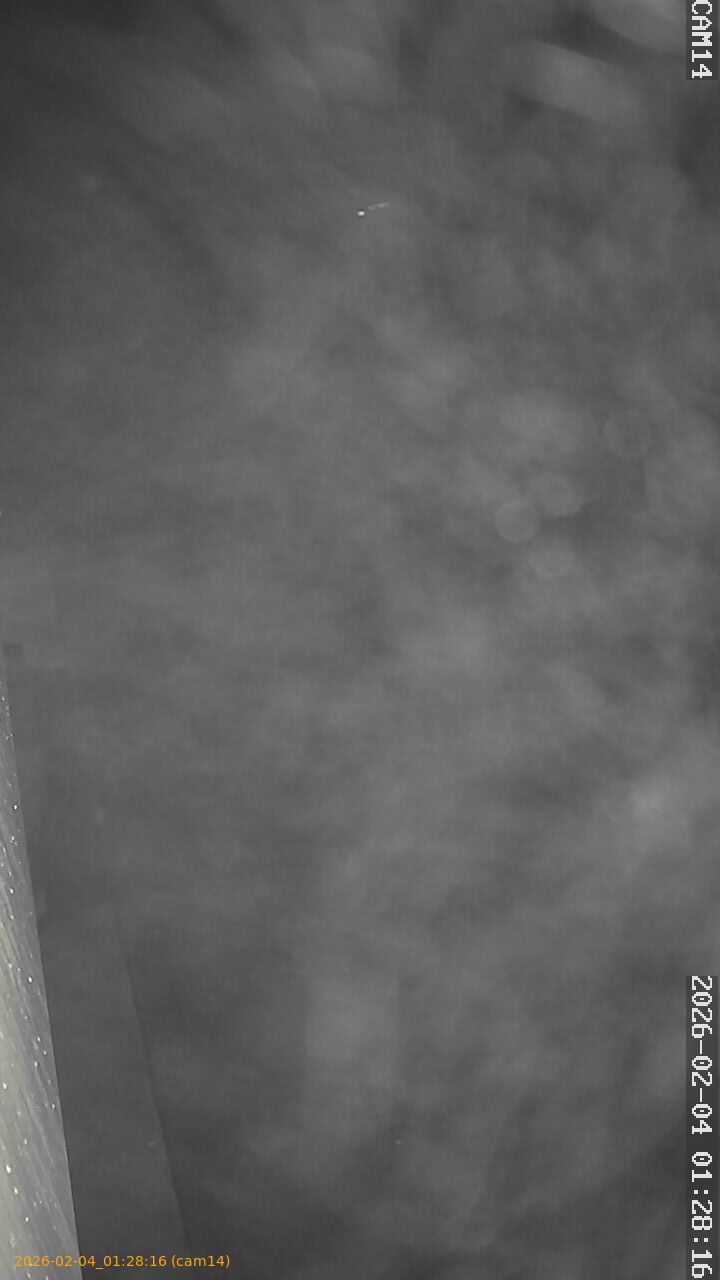 thumbnail_20260204012816