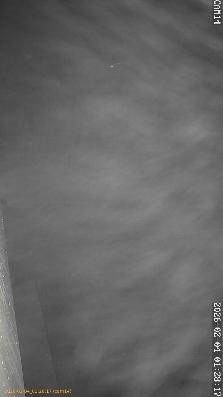 thumbnail_20260204012817