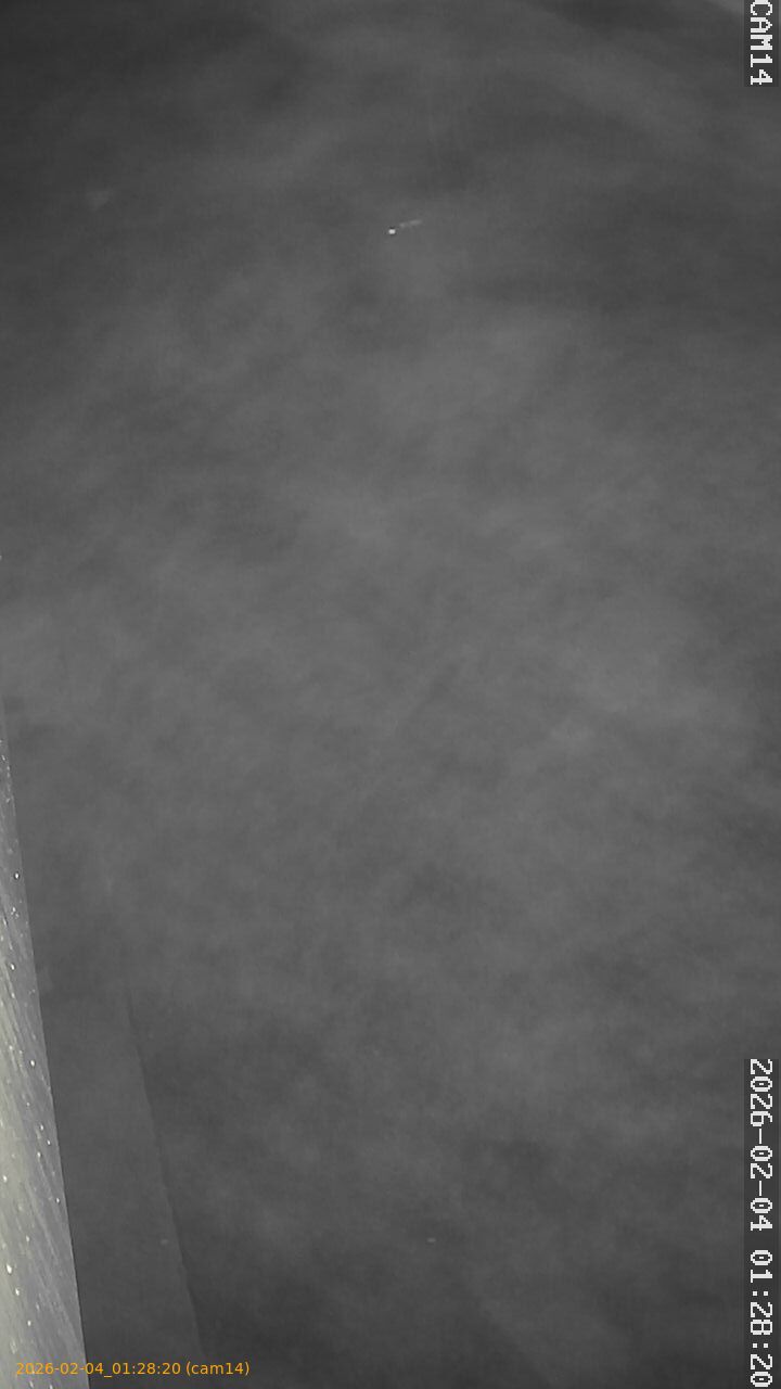 thumbnail_20260204012820