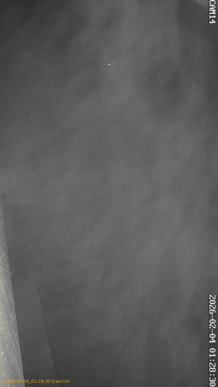 thumbnail_20260204012830