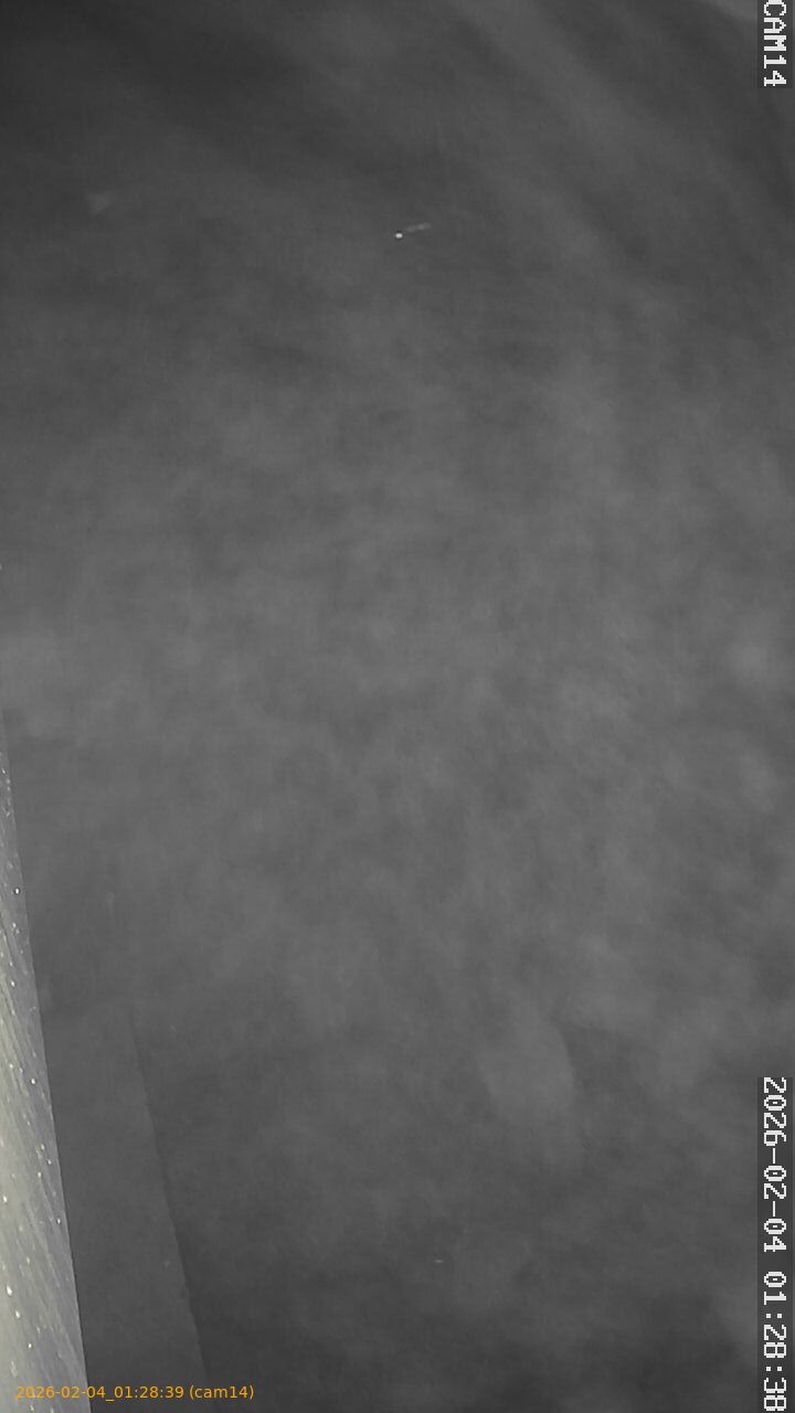 thumbnail_20260204012838