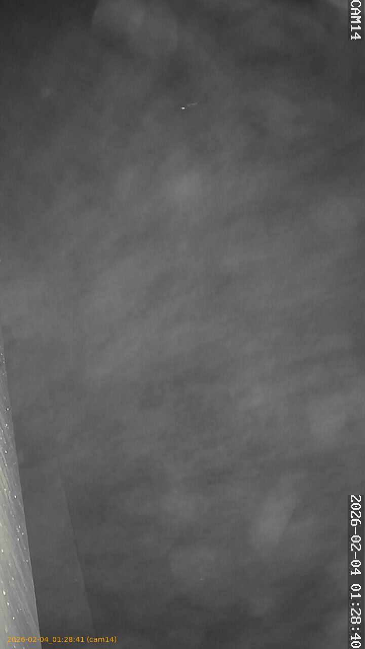 thumbnail_20260204012840