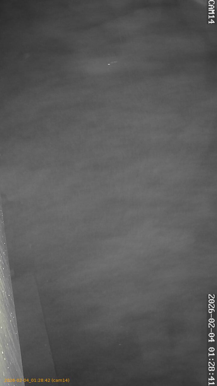 thumbnail_20260204012841