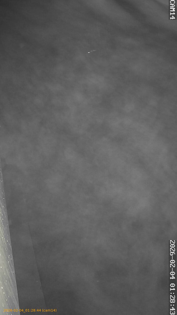 thumbnail_20260204012844