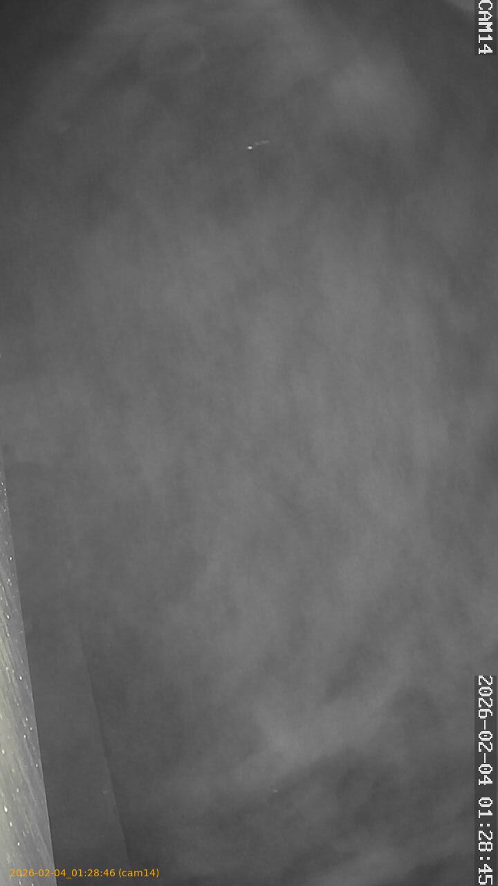 thumbnail_20260204012846