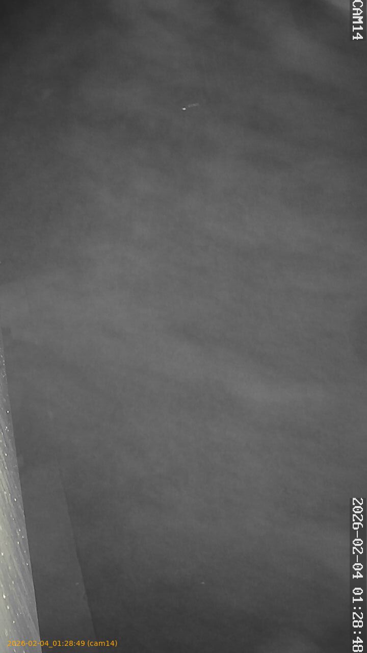 thumbnail_20260204012849