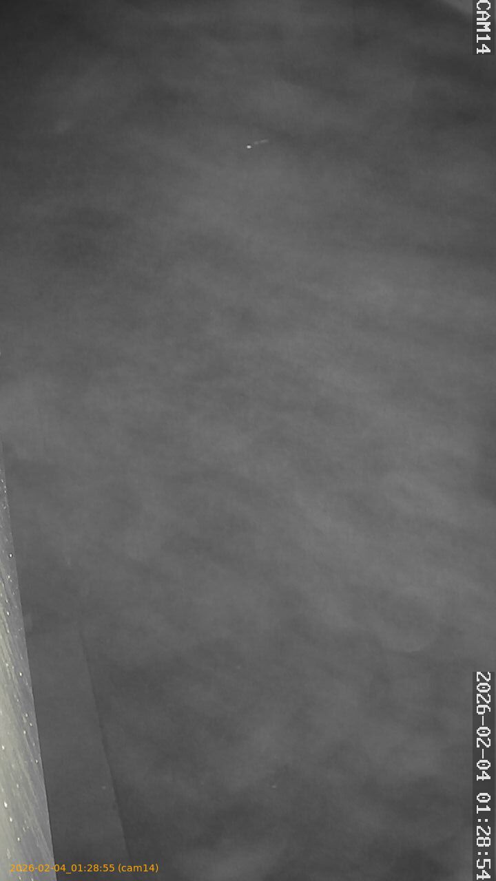 thumbnail_20260204012855