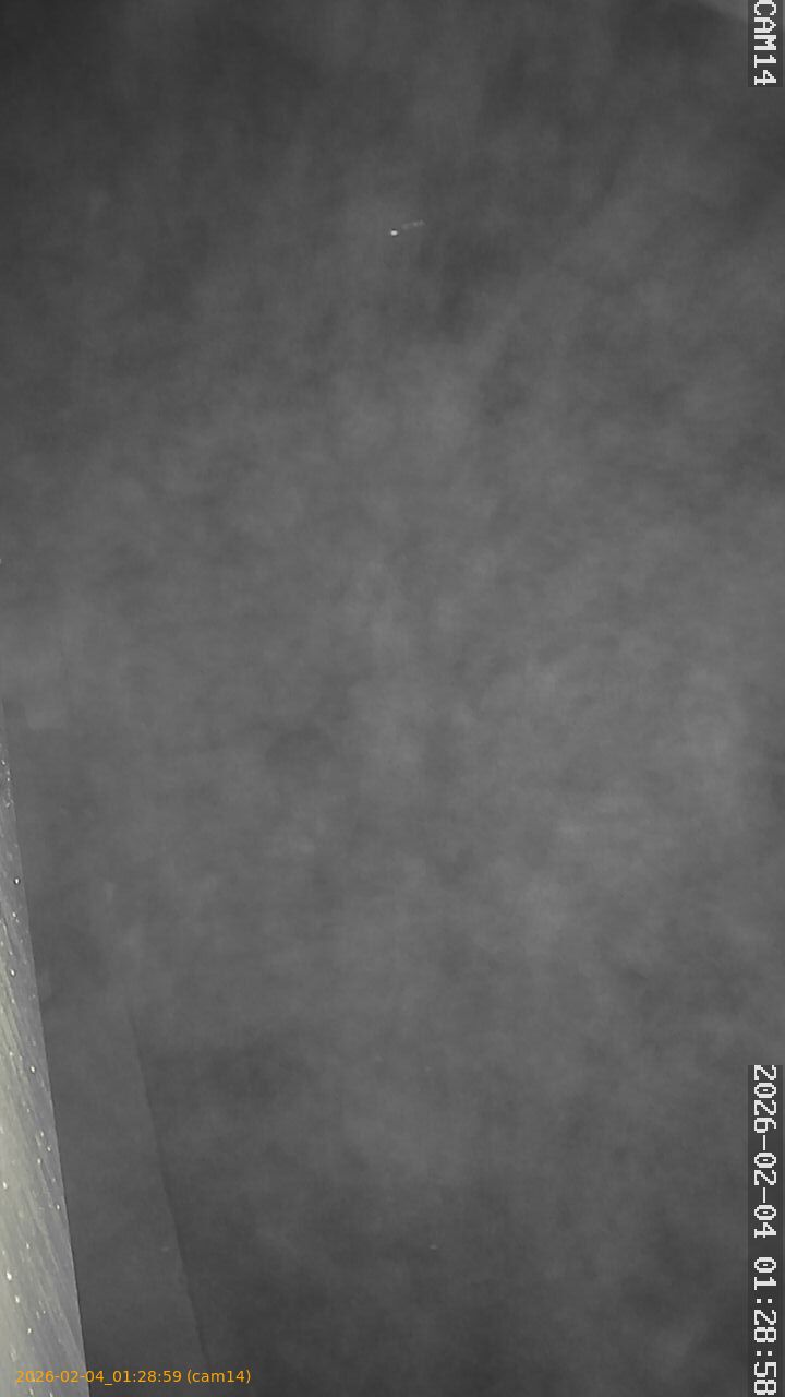 thumbnail_20260204012859