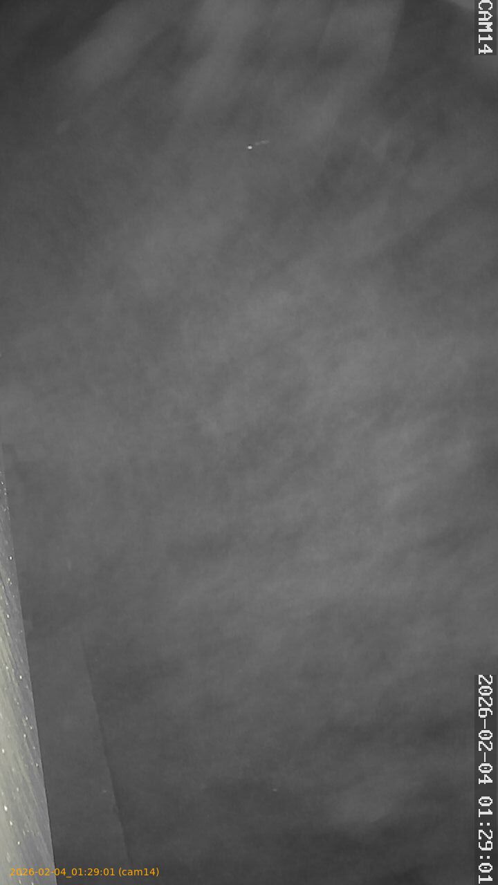 thumbnail_20260204012901