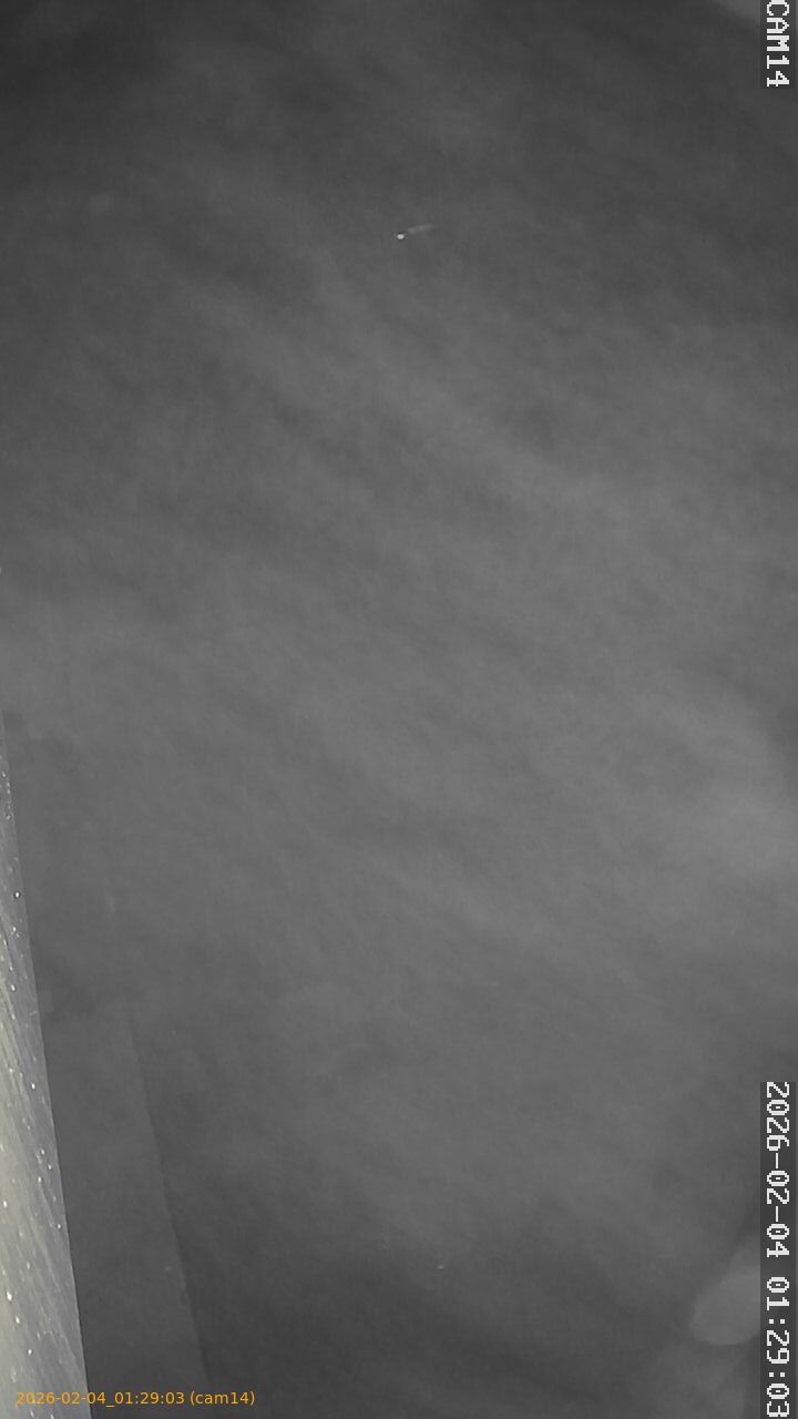 thumbnail_20260204012903