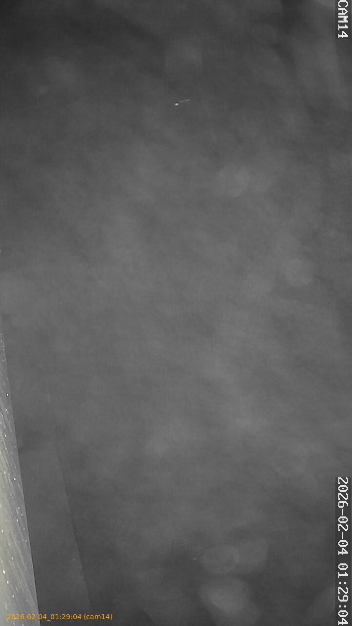 thumbnail_20260204012904