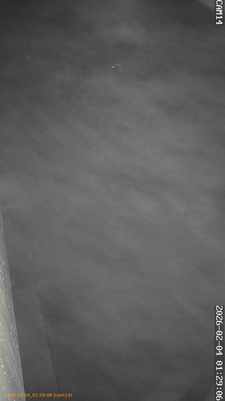 thumbnail_20260204012906