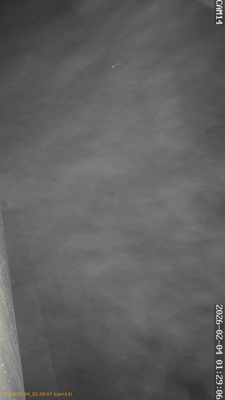 thumbnail_20260204012907