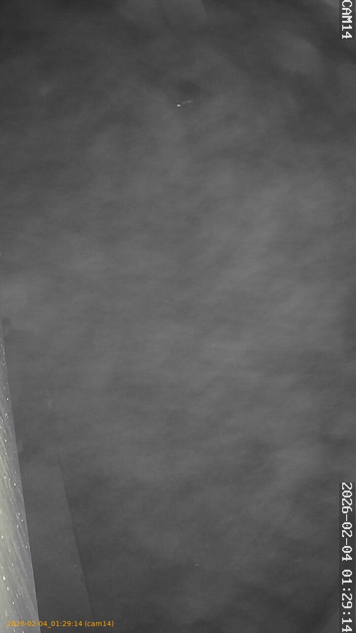 thumbnail_20260204012914