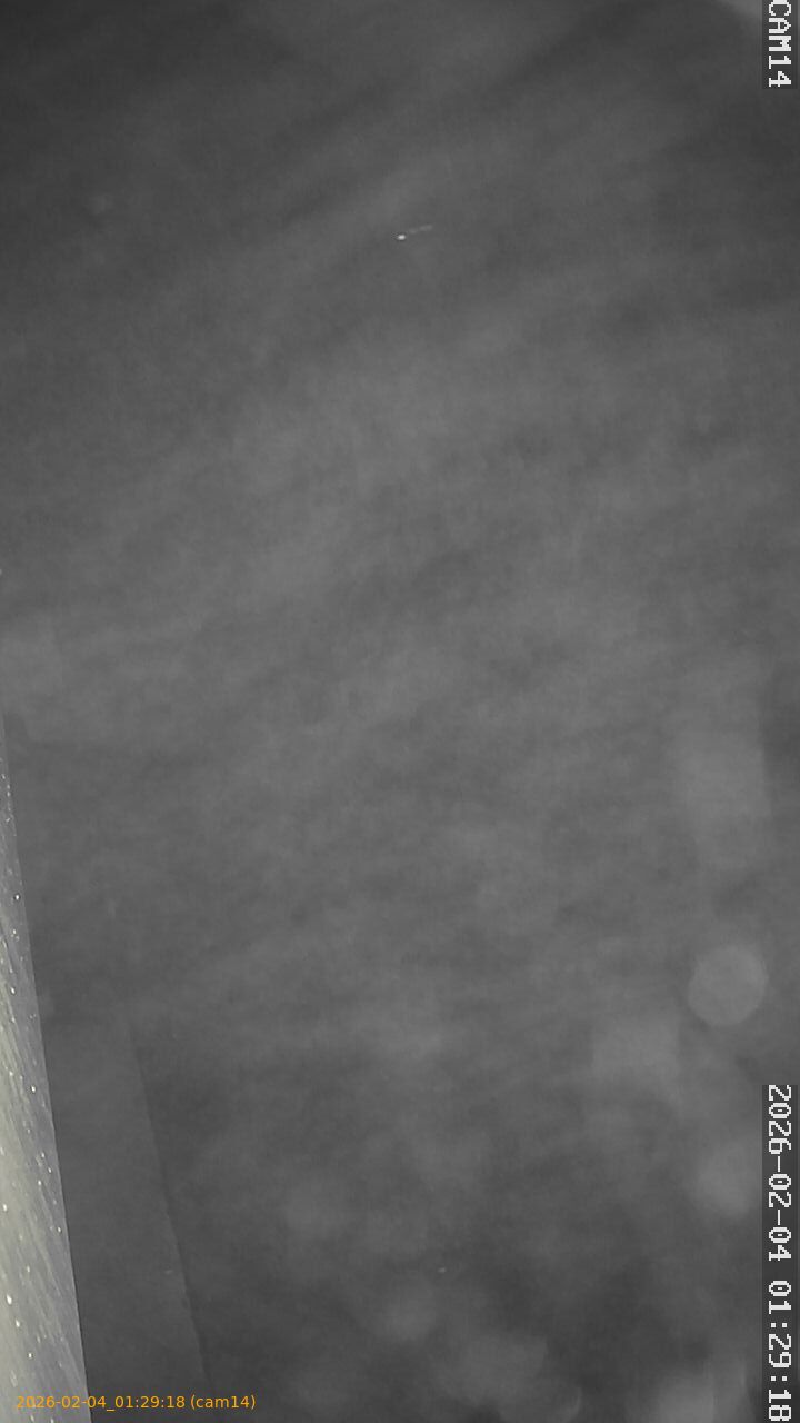 thumbnail_20260204012918