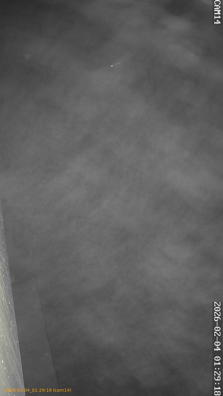 thumbnail_20260204012919