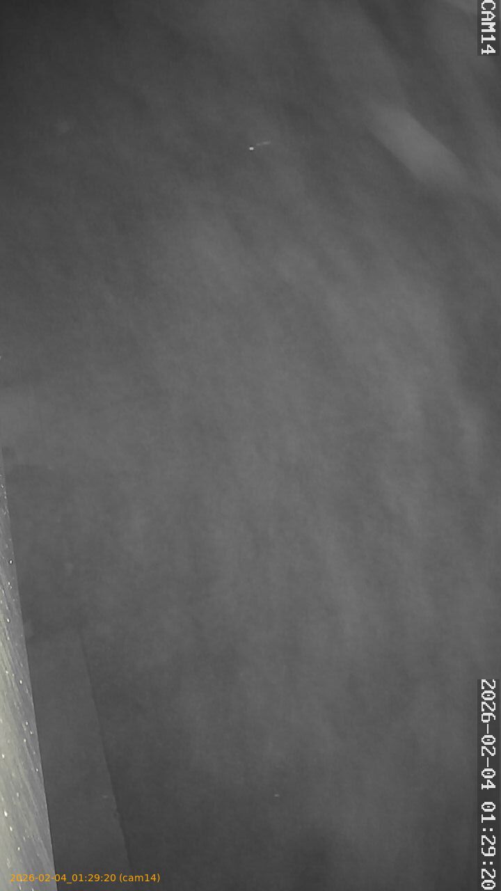 thumbnail_20260204012920