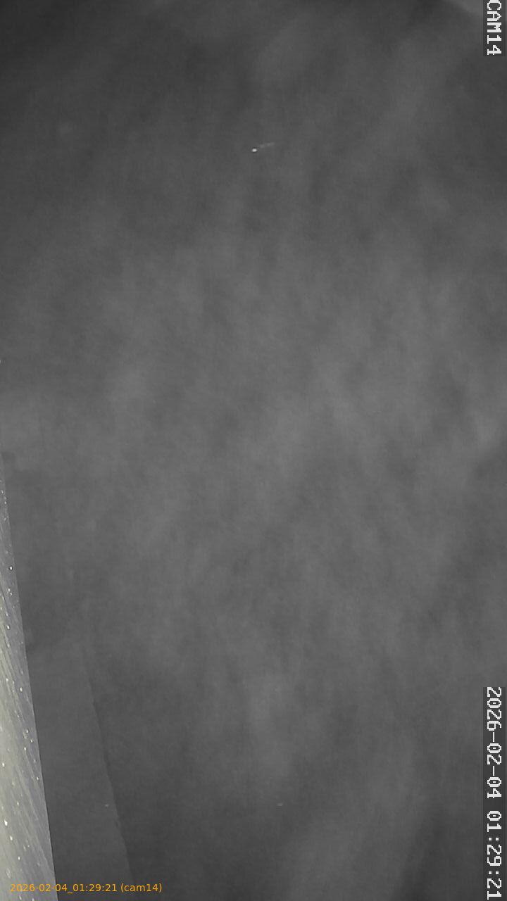 thumbnail_20260204012921