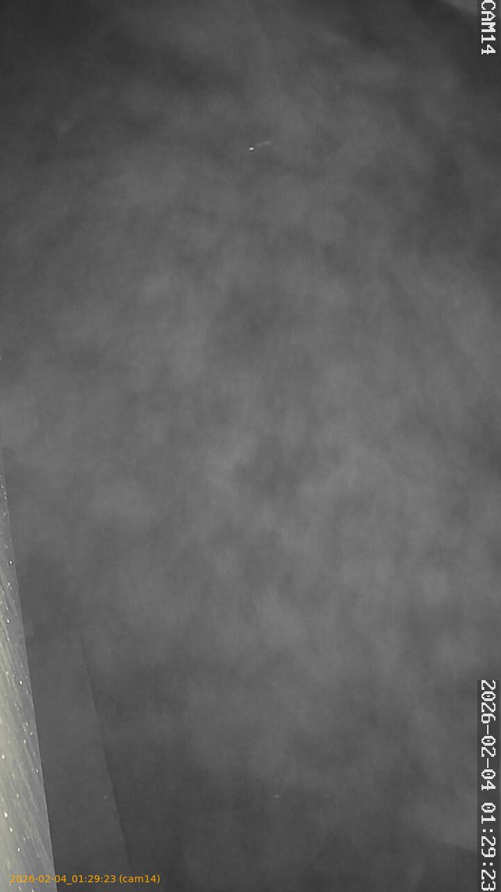 thumbnail_20260204012923