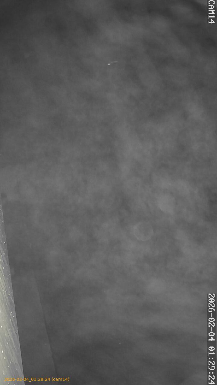 thumbnail_20260204012924