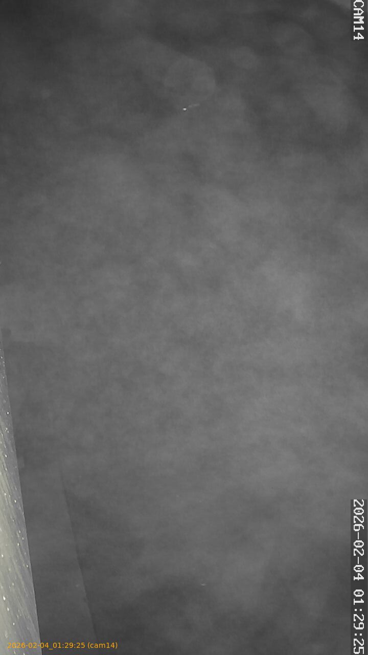 thumbnail_20260204012925