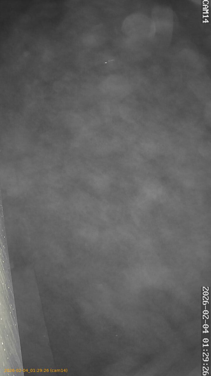 thumbnail_20260204012926