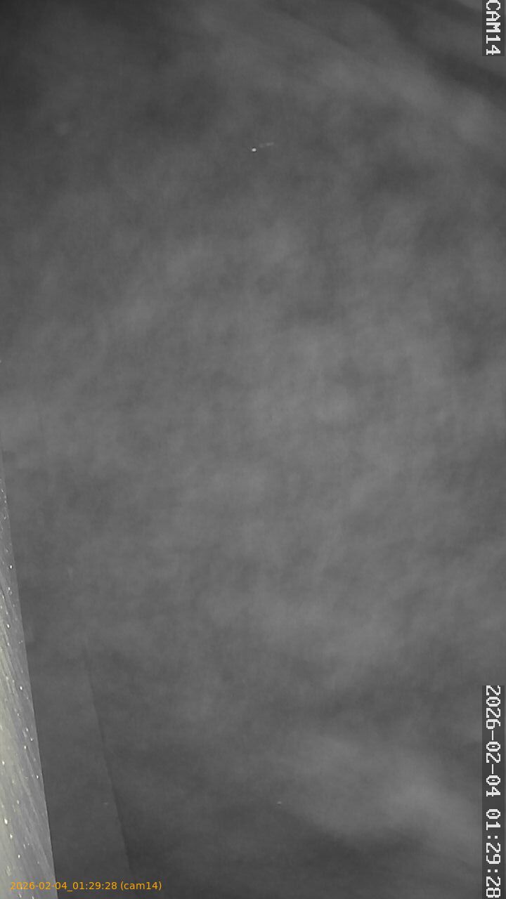 thumbnail_20260204012928