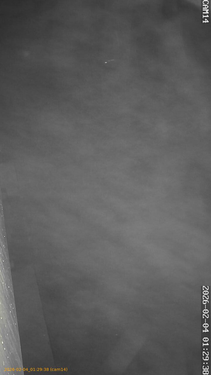 thumbnail_20260204012938