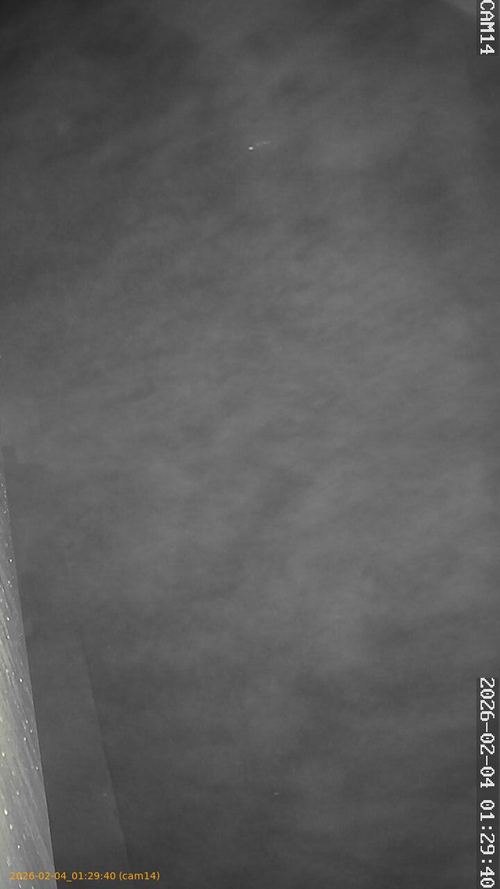 thumbnail_20260204012940