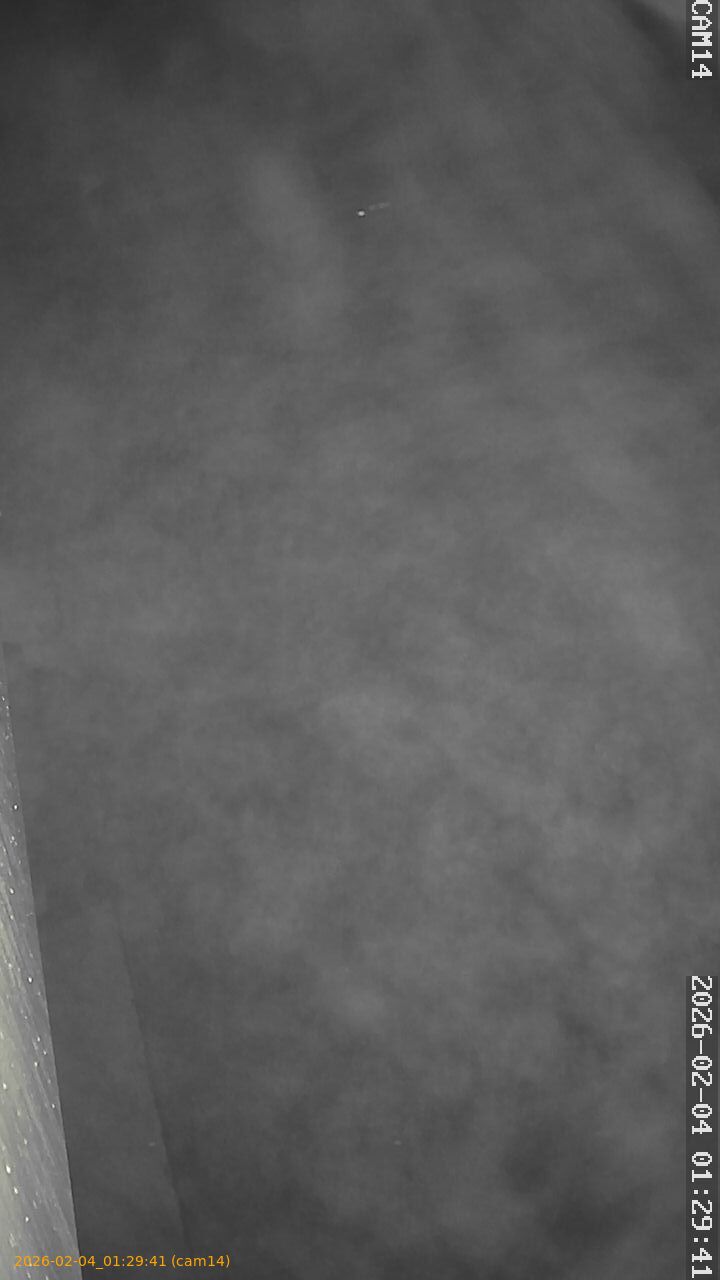 thumbnail_20260204012941