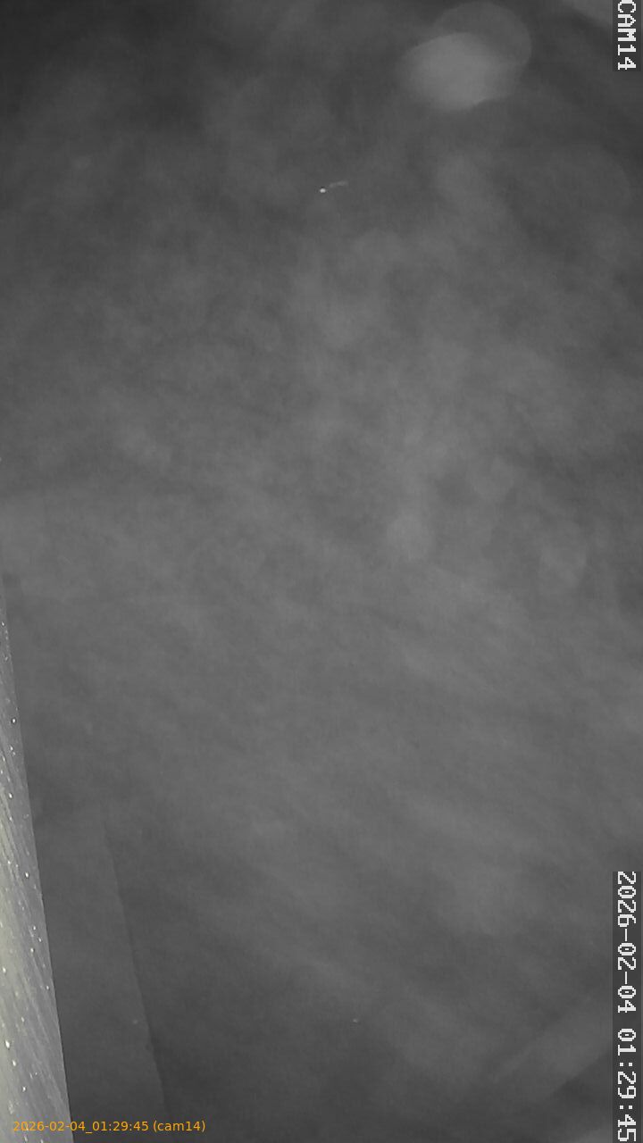 thumbnail_20260204012945