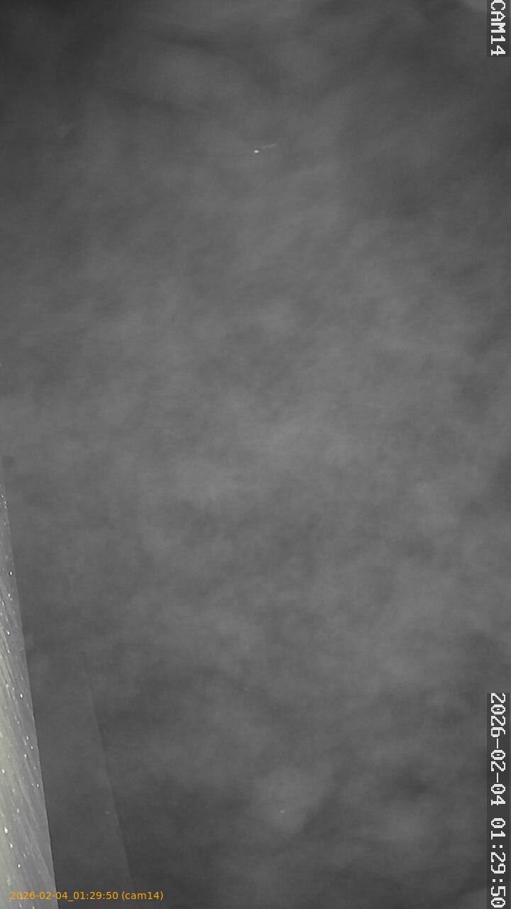 thumbnail_20260204012950