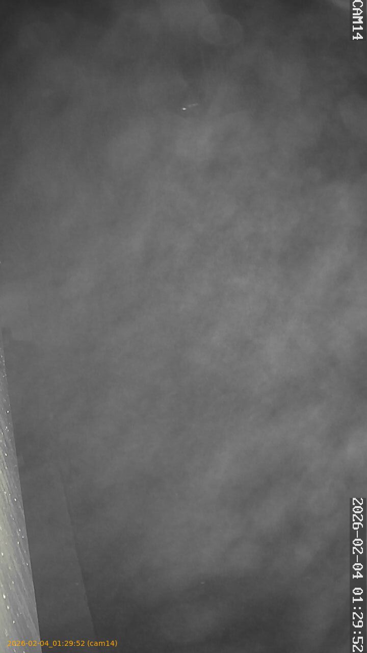 thumbnail_20260204012952