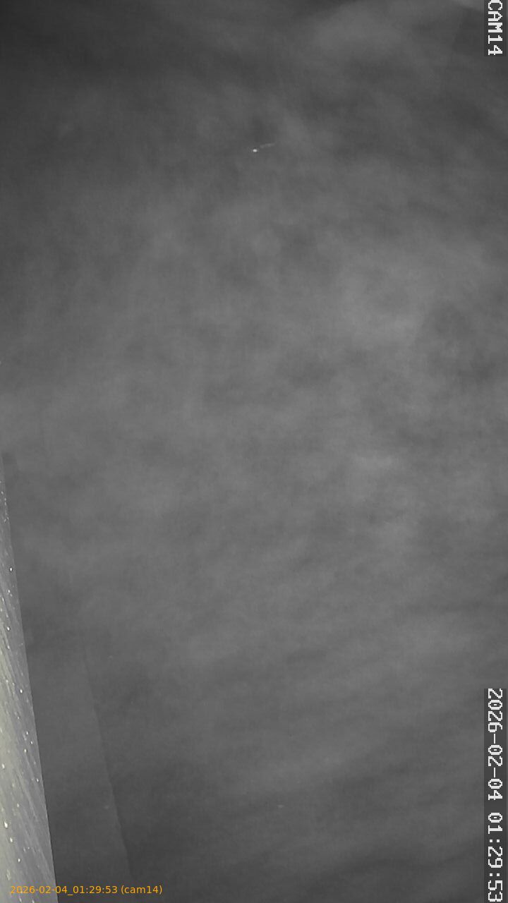 thumbnail_20260204012953