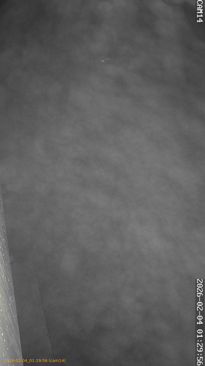 thumbnail_20260204012956