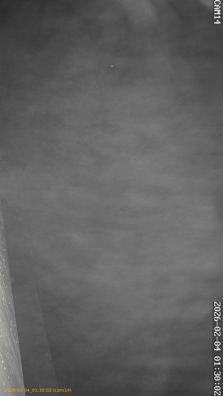 thumbnail_20260204013002