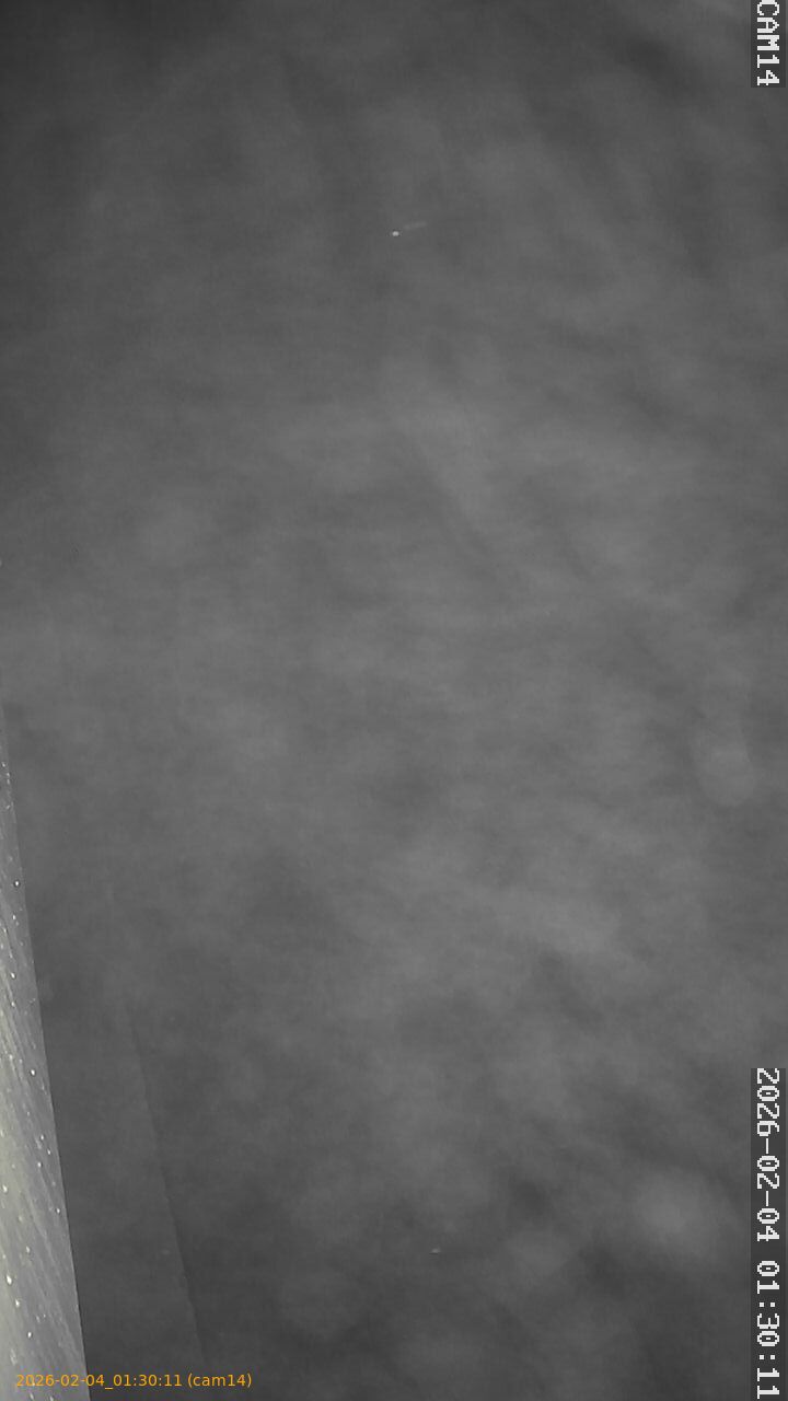 thumbnail_20260204013011